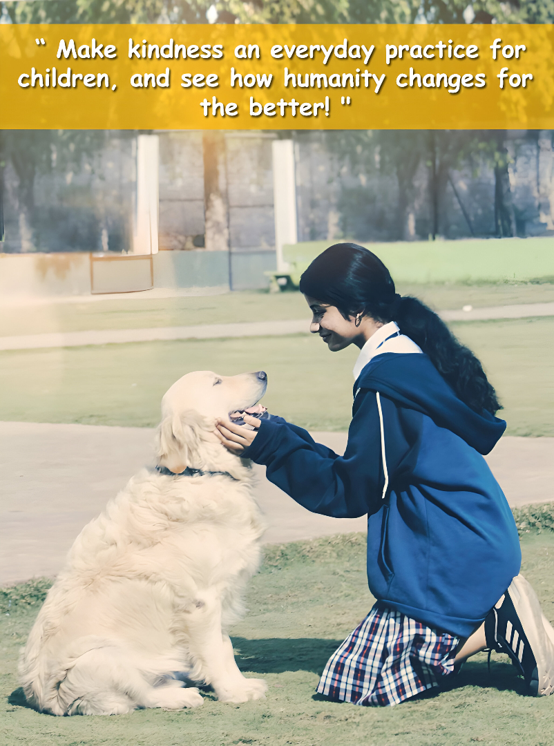 Monte International School Monte International School